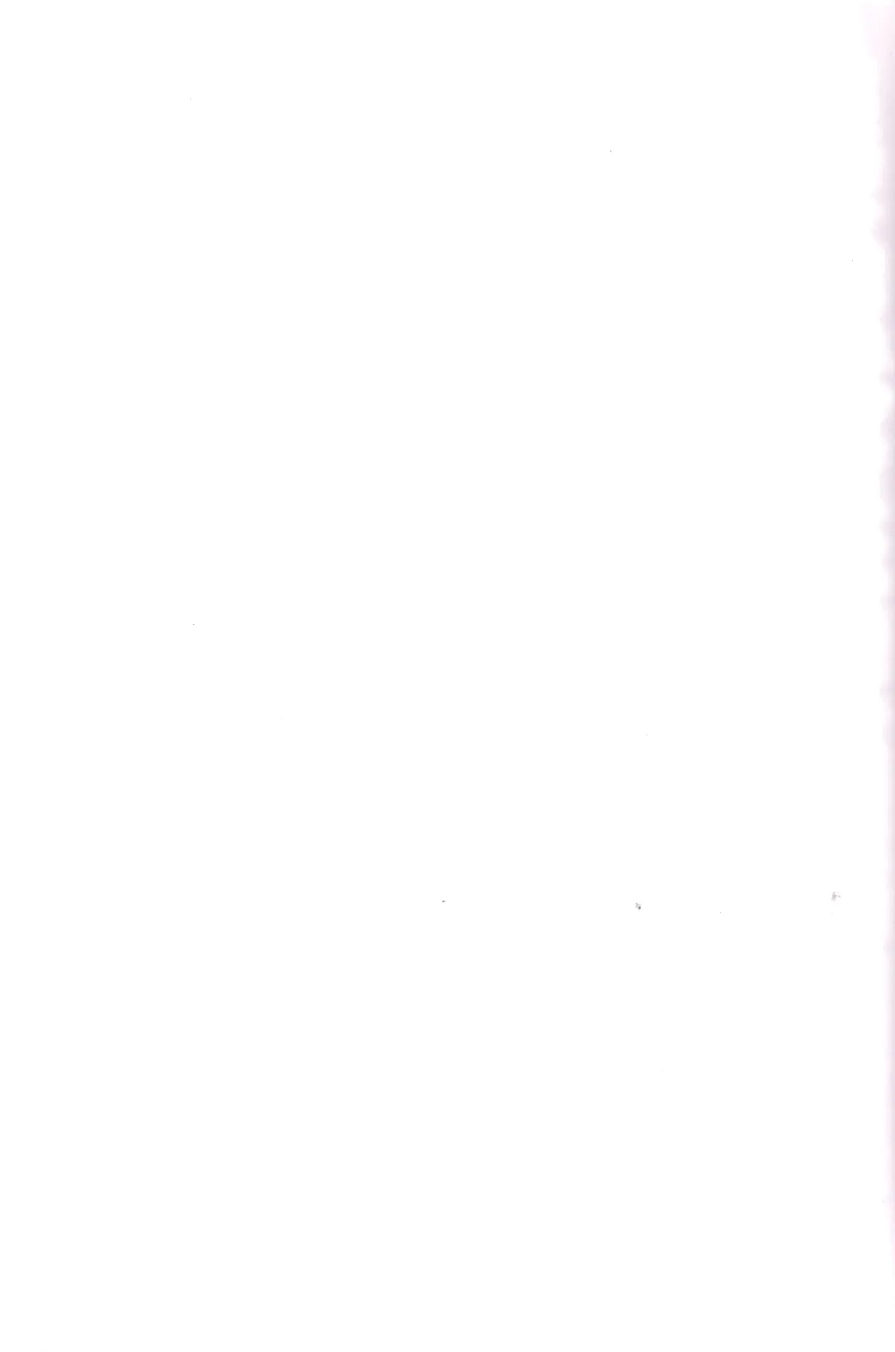 I love you the most in the world! 2 - Page 45