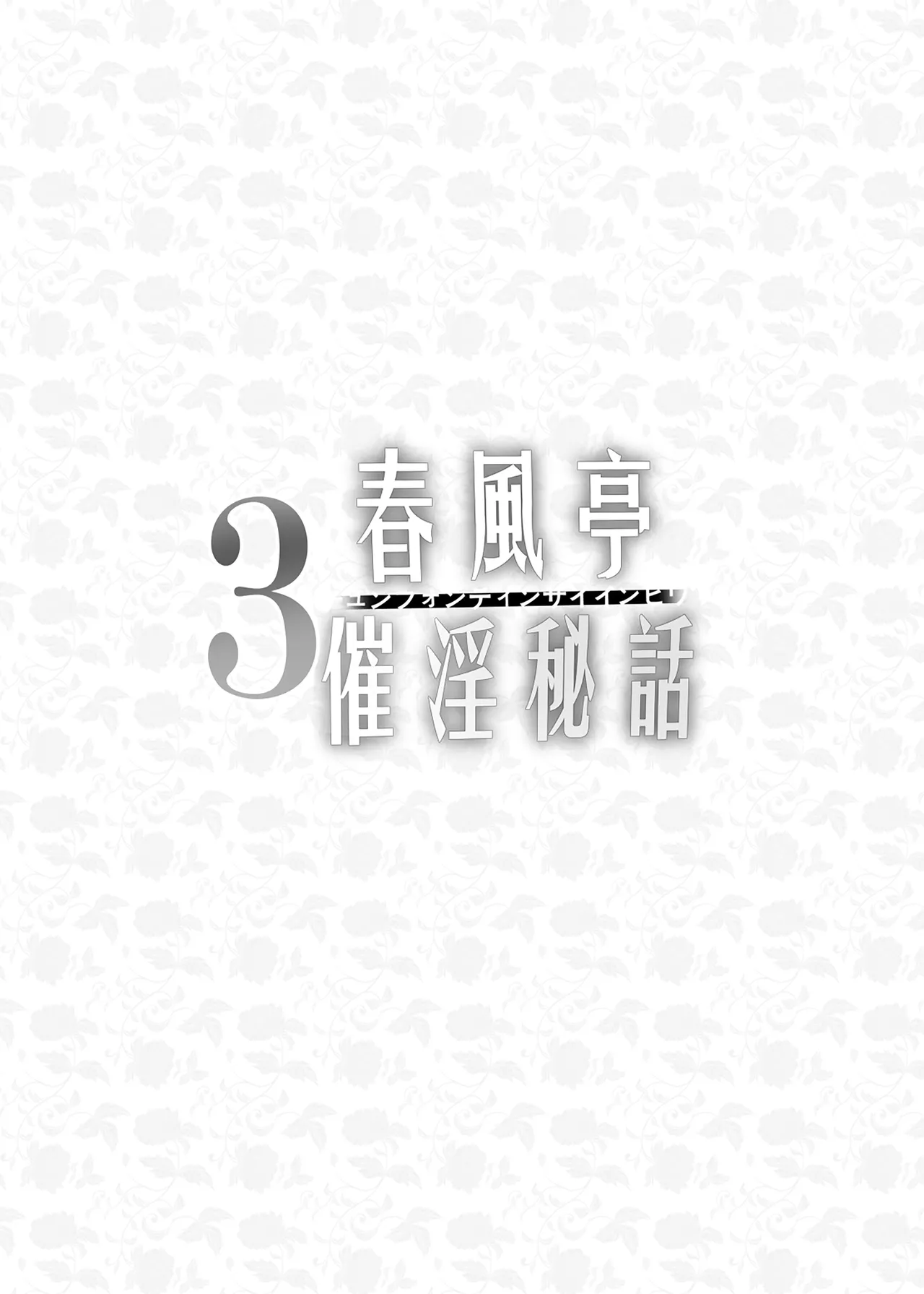 Chunfontein Saiin Hiwa 3 - Page 4
