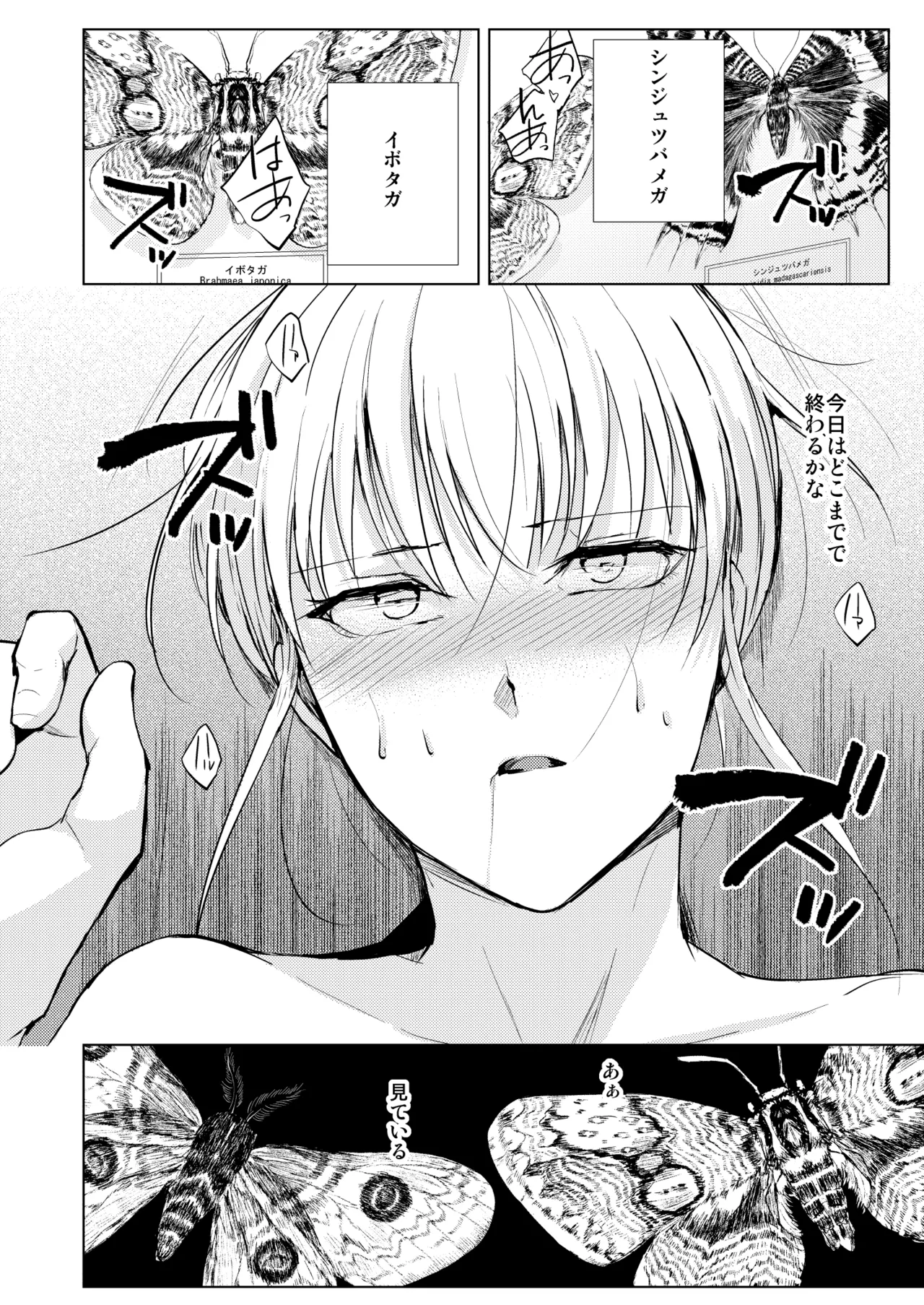 藤屋敷の標本 - Page 21