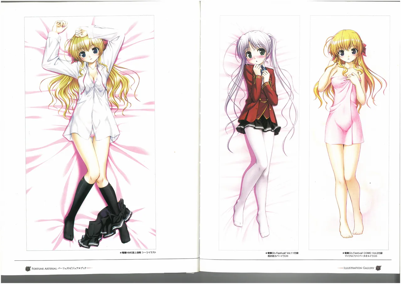 FORTUNE ARTERIAL PERFECT VISUAL BOOK - Page 16