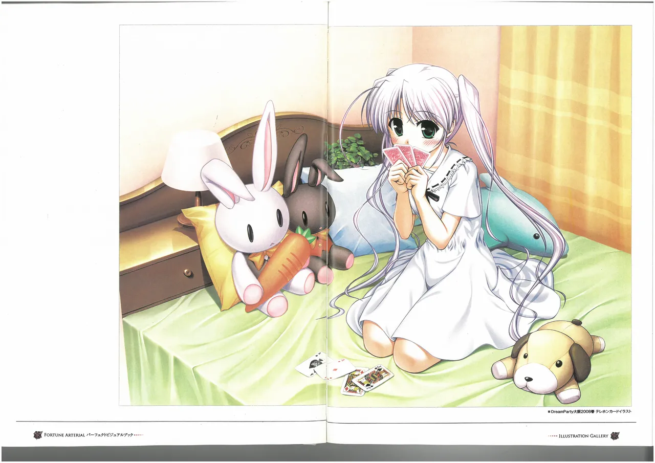 FORTUNE ARTERIAL PERFECT VISUAL BOOK - Page 21