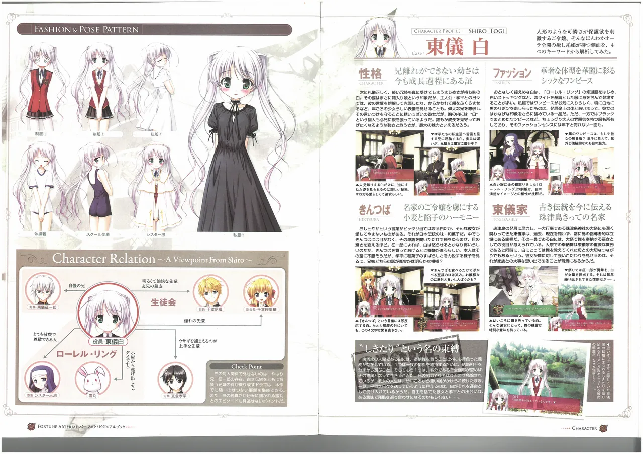 FORTUNE ARTERIAL PERFECT VISUAL BOOK - Page 29