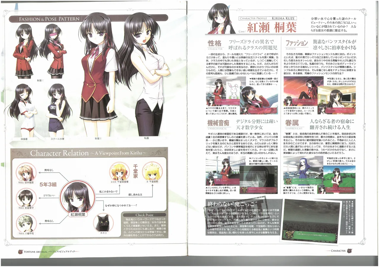 FORTUNE ARTERIAL PERFECT VISUAL BOOK - Page 31