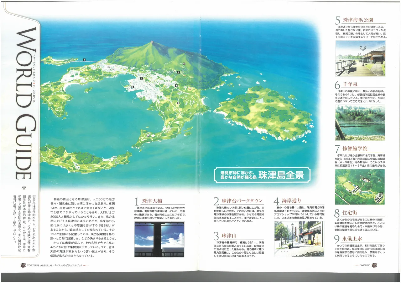 FORTUNE ARTERIAL PERFECT VISUAL BOOK - Page 50