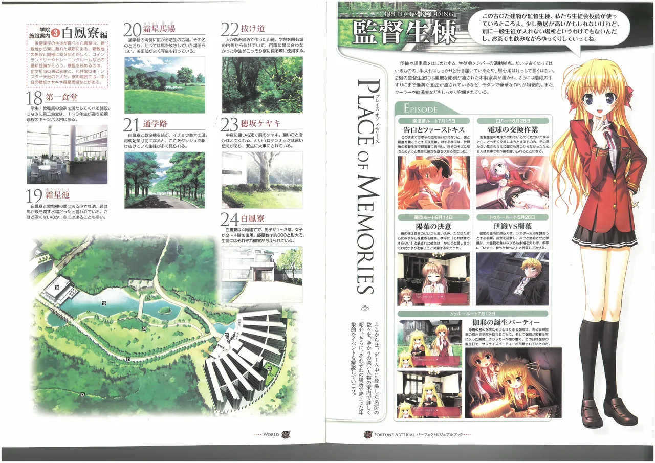FORTUNE ARTERIAL PERFECT VISUAL BOOK - Page 53