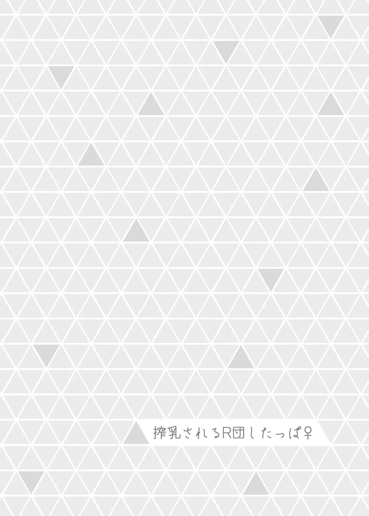 Miare Yoru no Hotel Z - Page 24