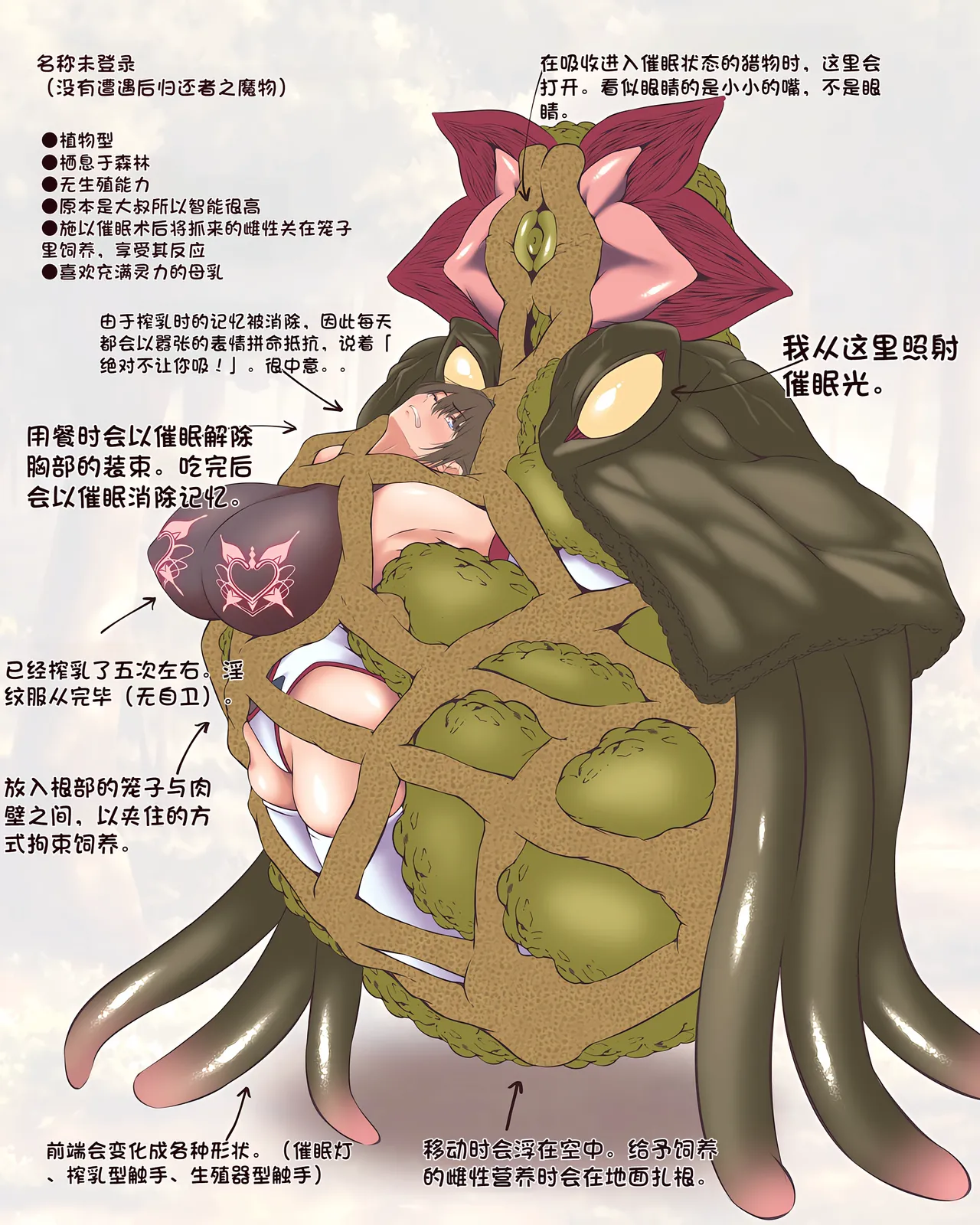 Setteiga - Page 17