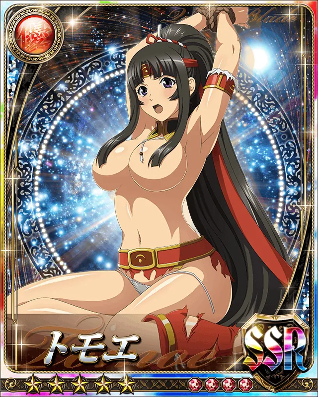 Queen's Blade Tomoe Collection - Page 65