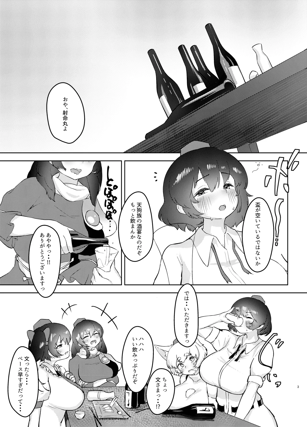 Preview page 3