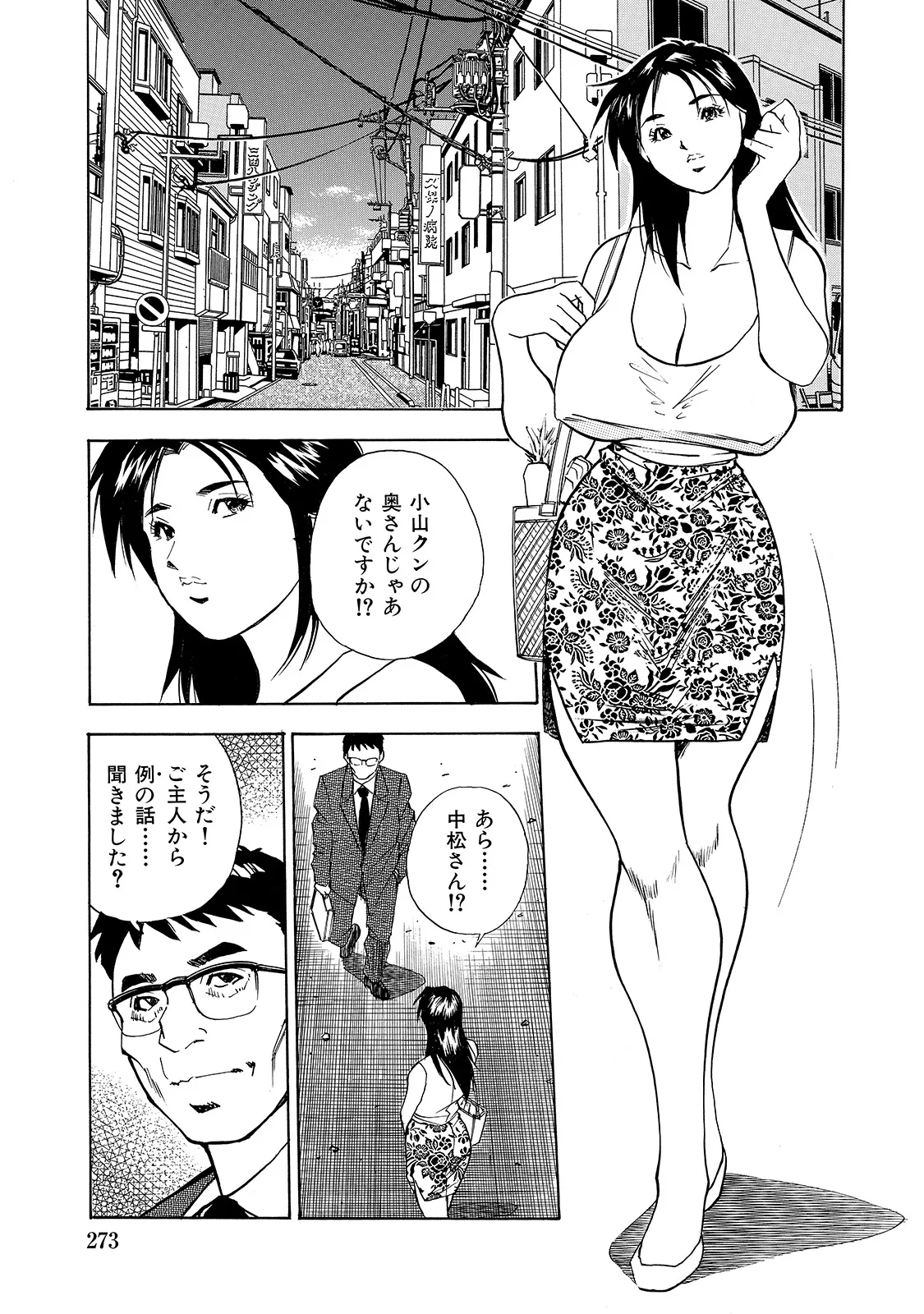 Shirouto Bijinzuma - Page 273