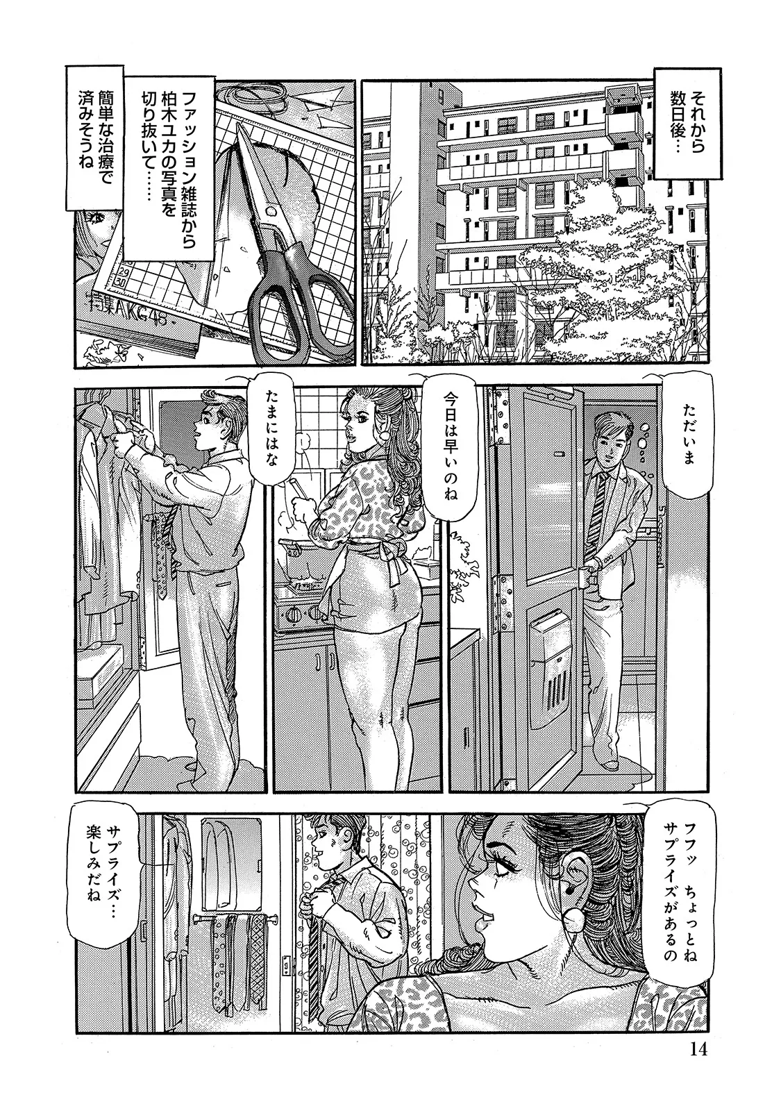 Shirouto Bijinzuma - Page 14