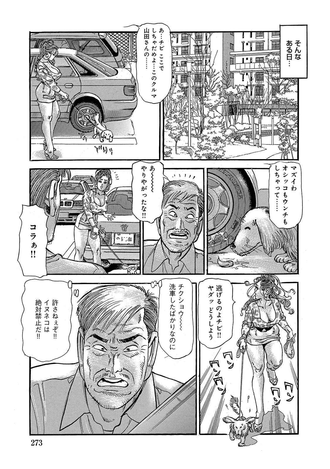 Shirouto Bijinzuma - Page 272