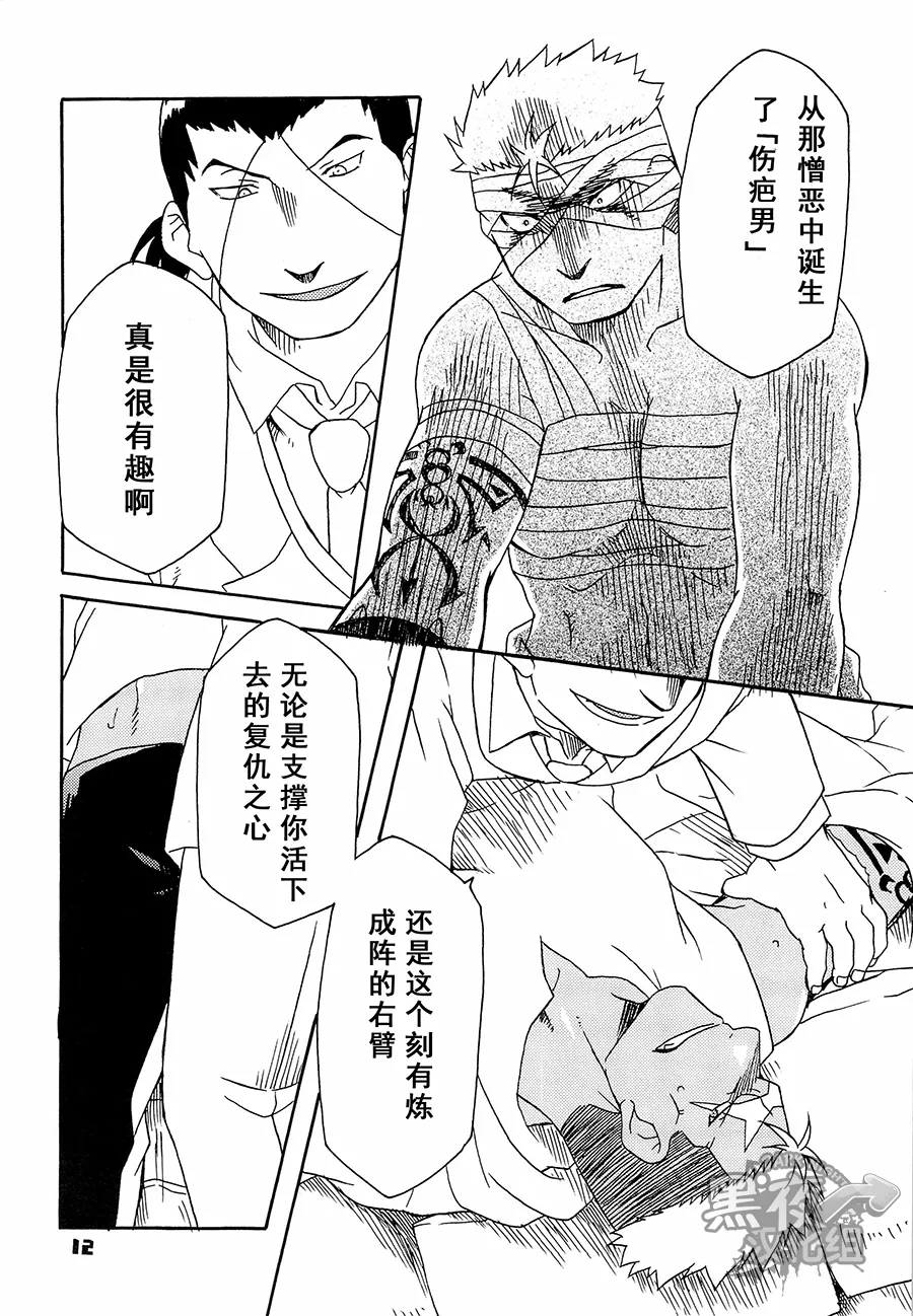 Scar o Hazukashime Naosu Hon | 斯卡的屈辱调教 - Page 12