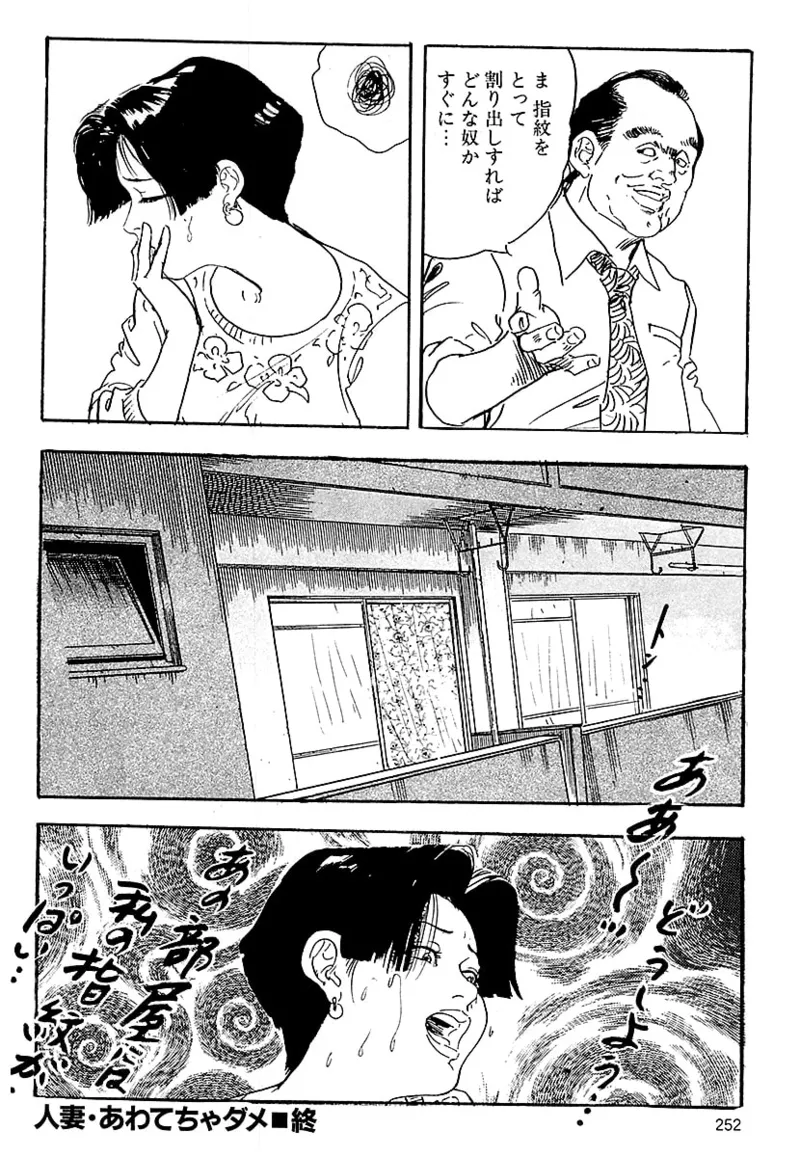 ケン月影の 熟妻お尻を抱えられて（愛蔵版） - Page 250