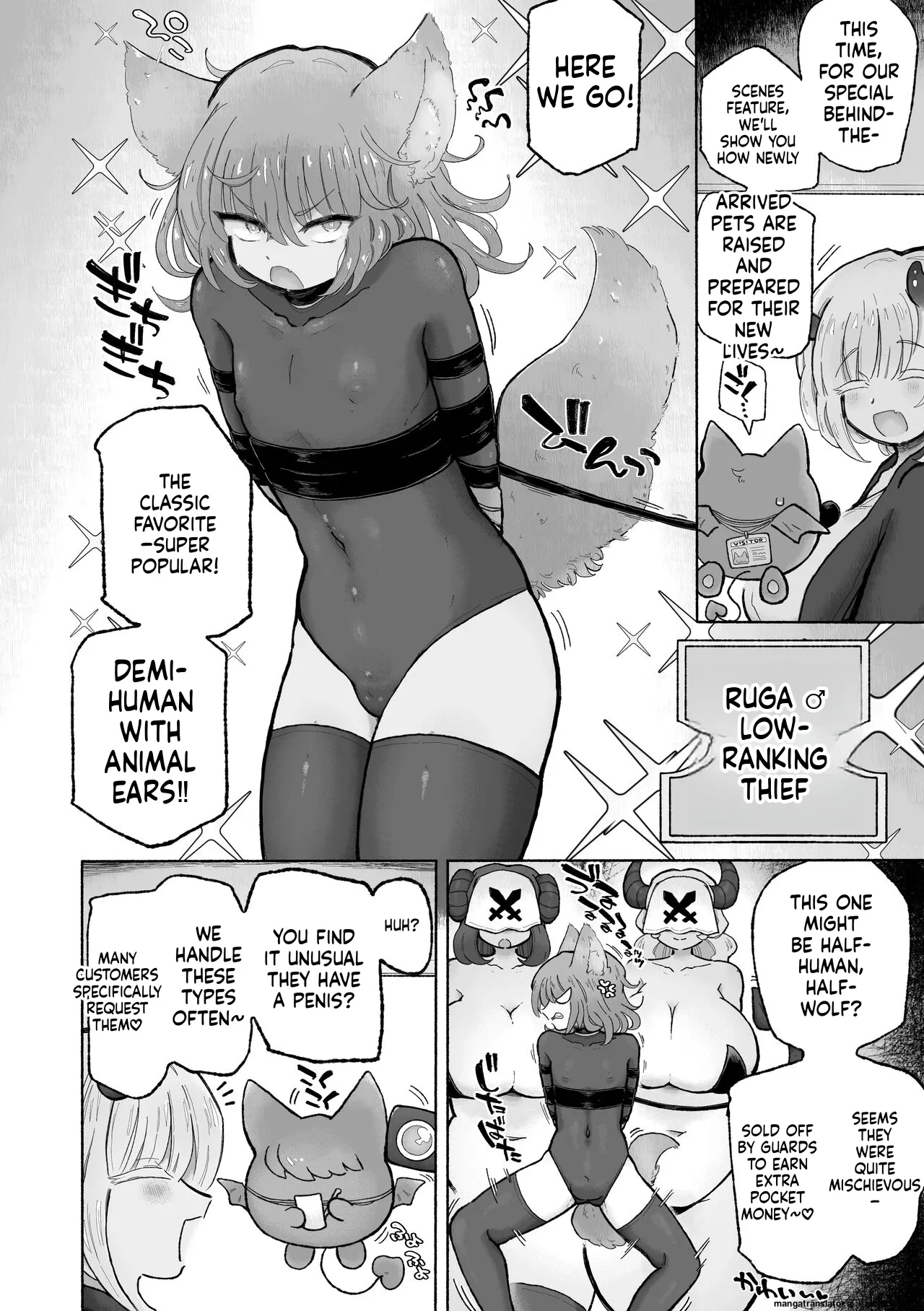 Preview page 4