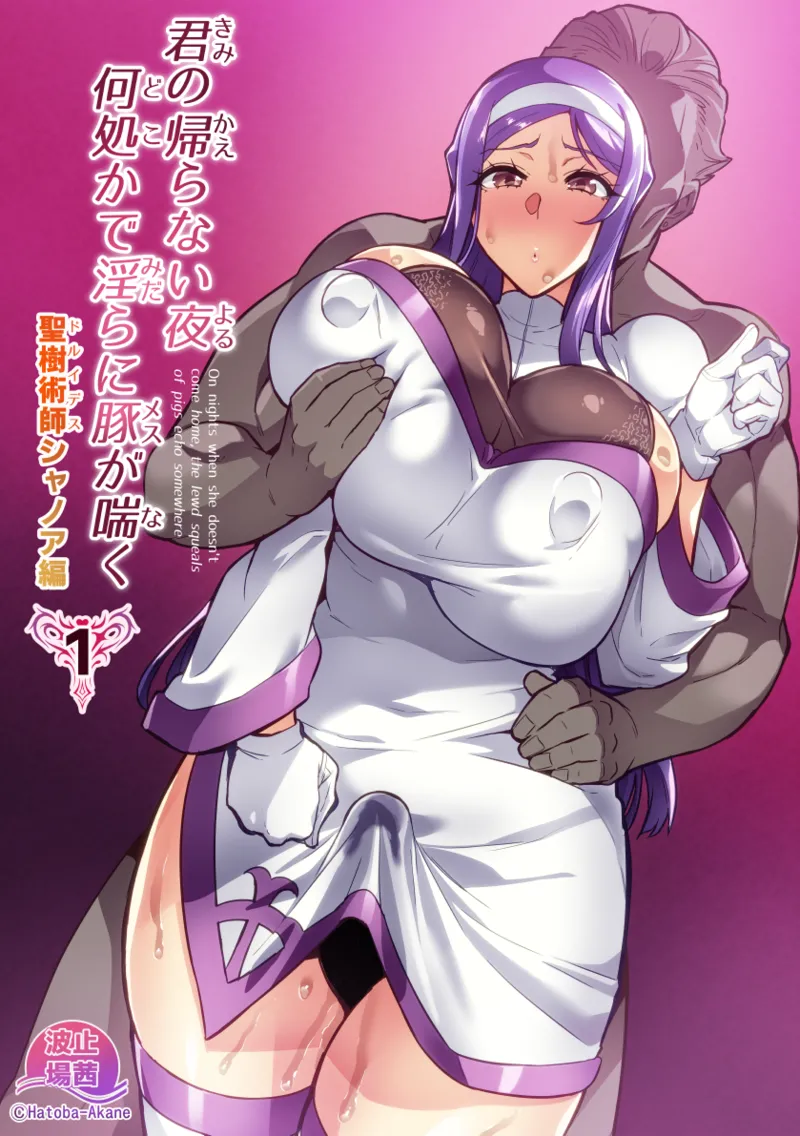 Page 1 of Kimi ga Kaeranai Yoru Dokoka de Midara ni Buta ga Aeku