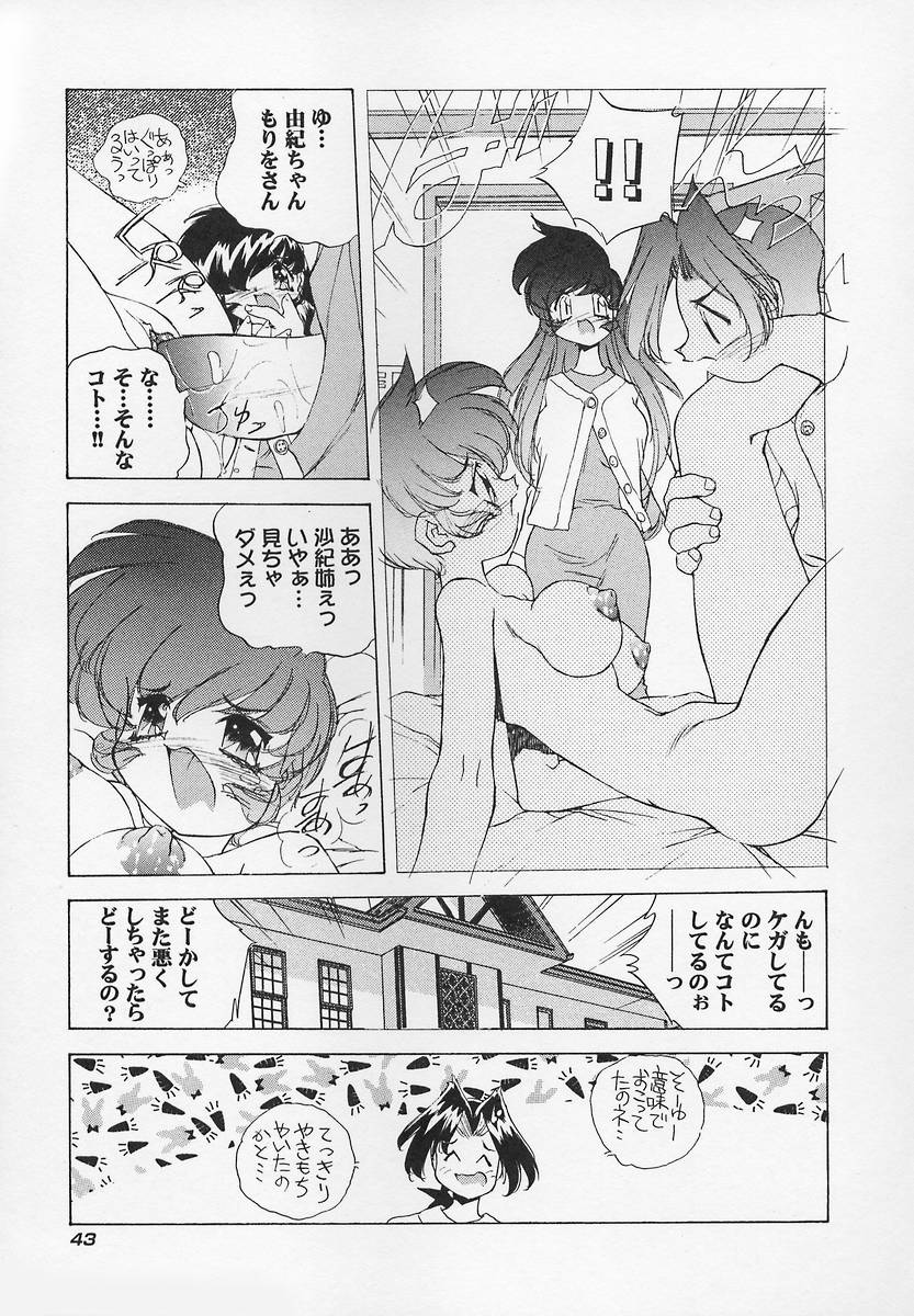 Sanshimai H Monogatari 2 - Page 47