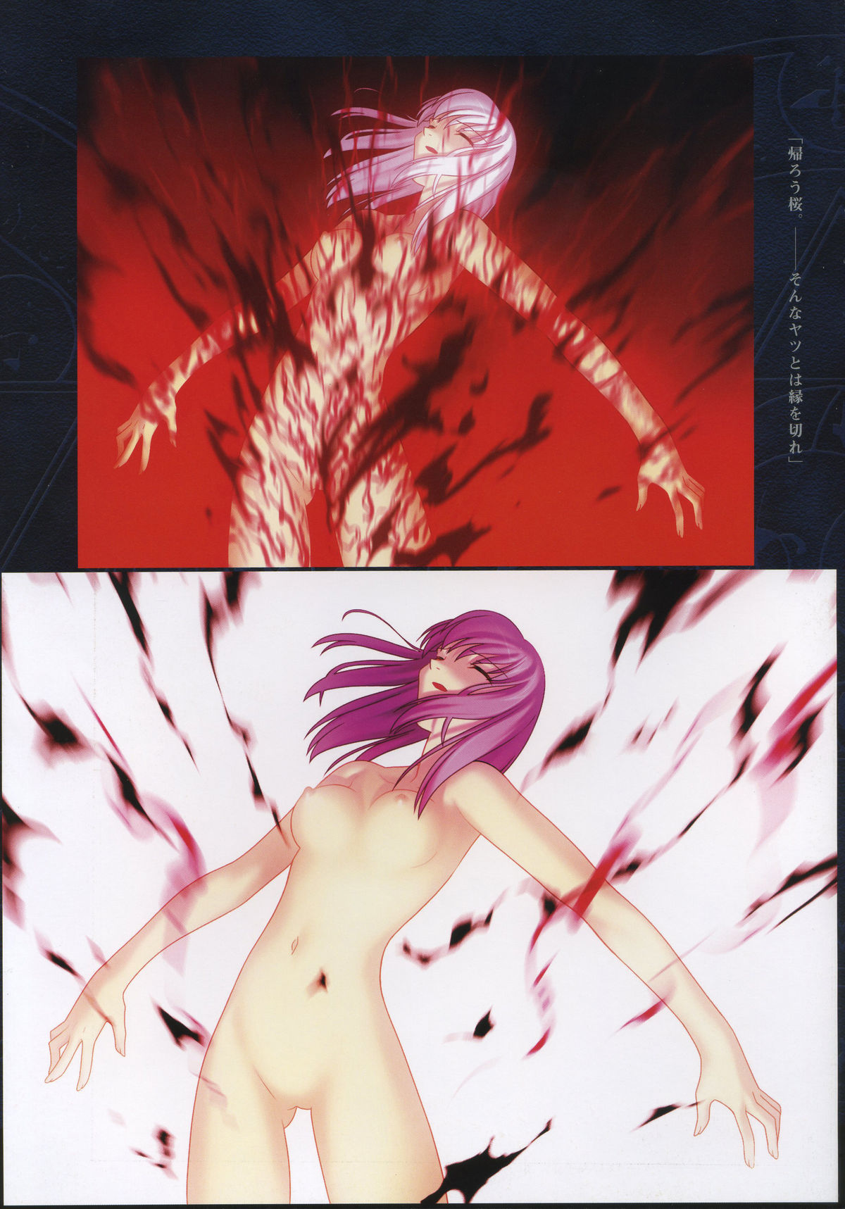 Fate/complete material I - Art material. - Page 109