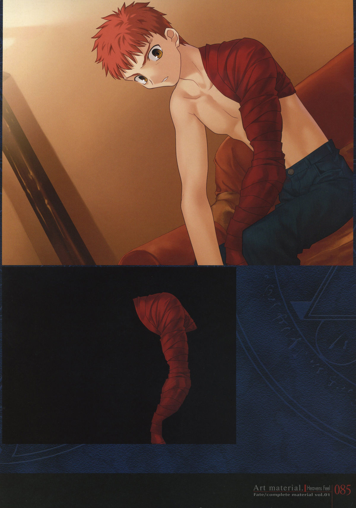 Fate/complete material I - Art material. - Page 90