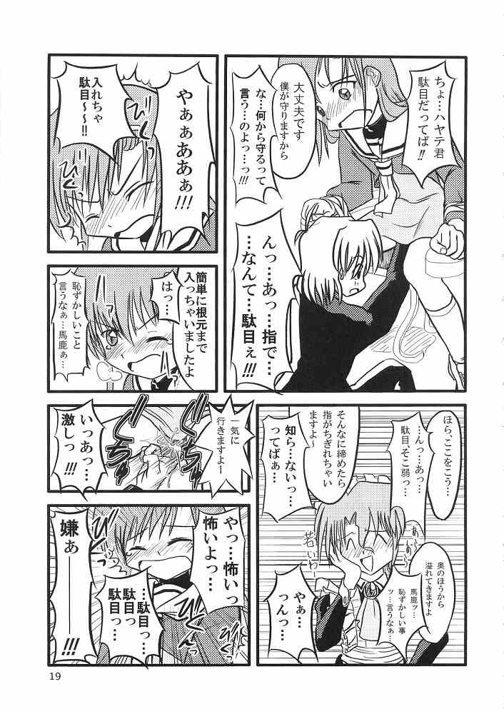Hayate ni yoru fukuonsho - Page 18