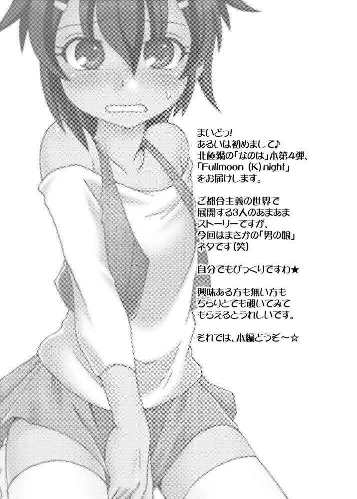 (C80) [ARCTIC PAN (Shaa Peipei)] Fullmoon (K)night (Mahou Shoujo Lyrical Nanoha) - Page 3