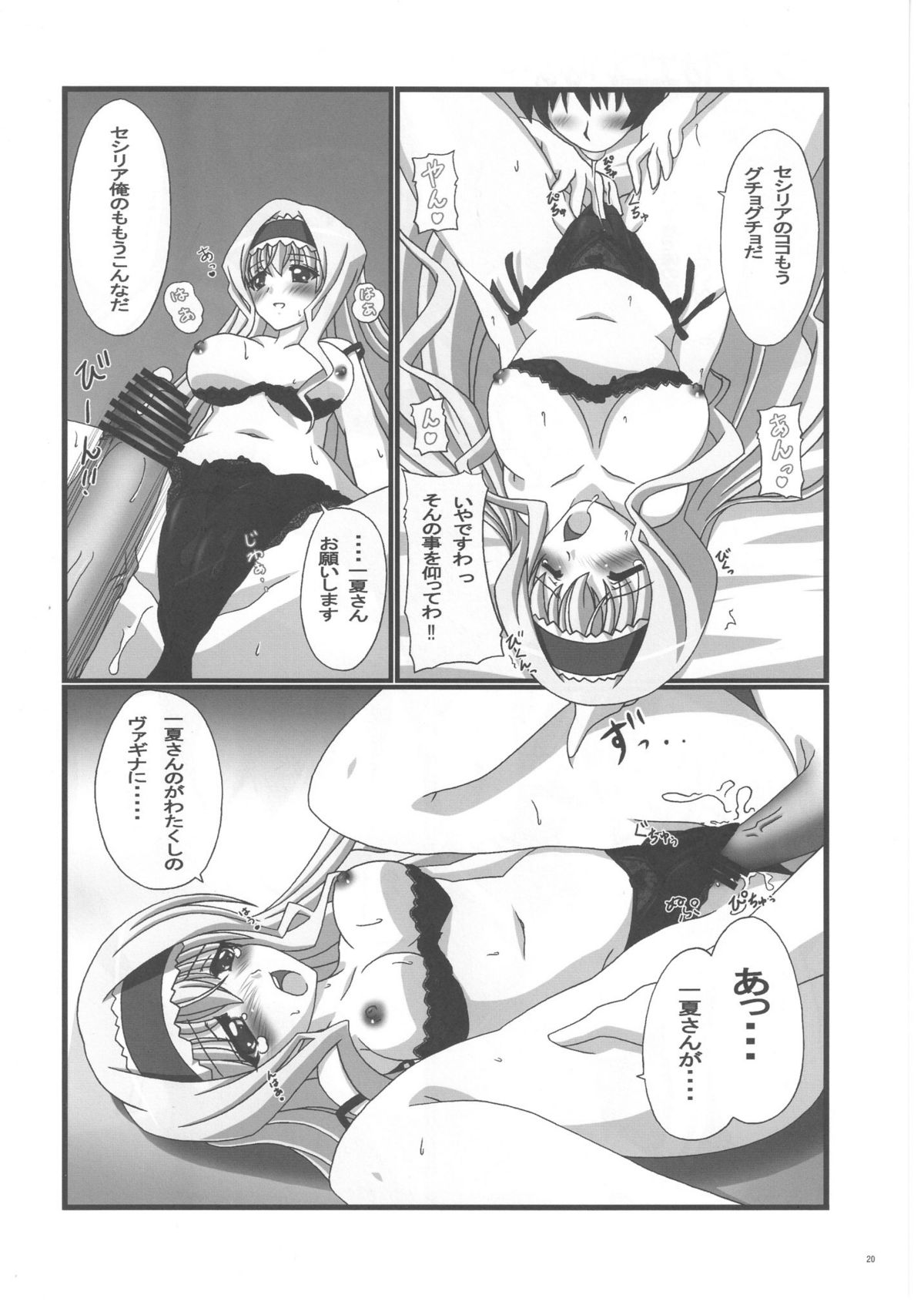 Trinity Stratos - Page 20