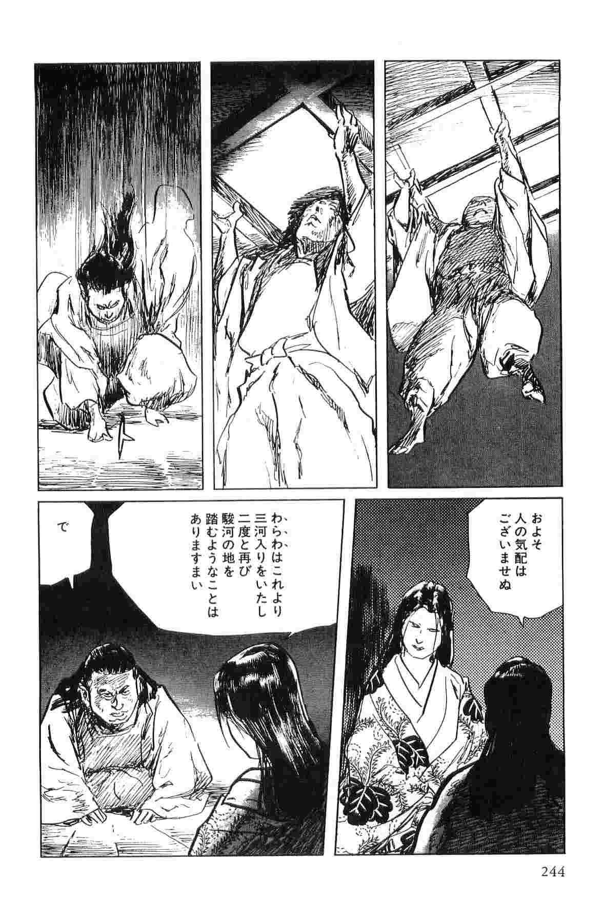 Hanzou no Mon Vol.4 - Page 247