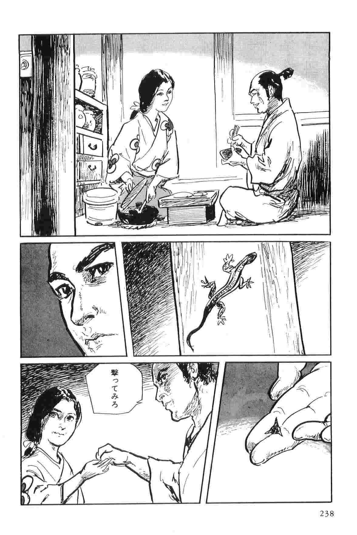 Hanzou no Mon Vol.7 - Page 241