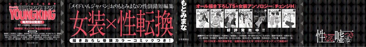 Seinaru Usotsuki - Page 3