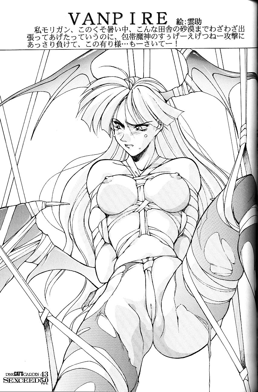 SEXCEED ver.5.0 - Page 42