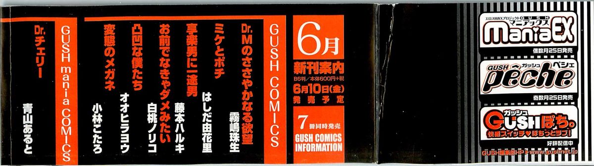 Denka no Kaden - Page 3