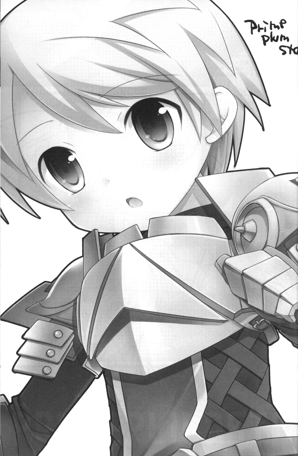 PRIME PLUMSTAR - Page 2