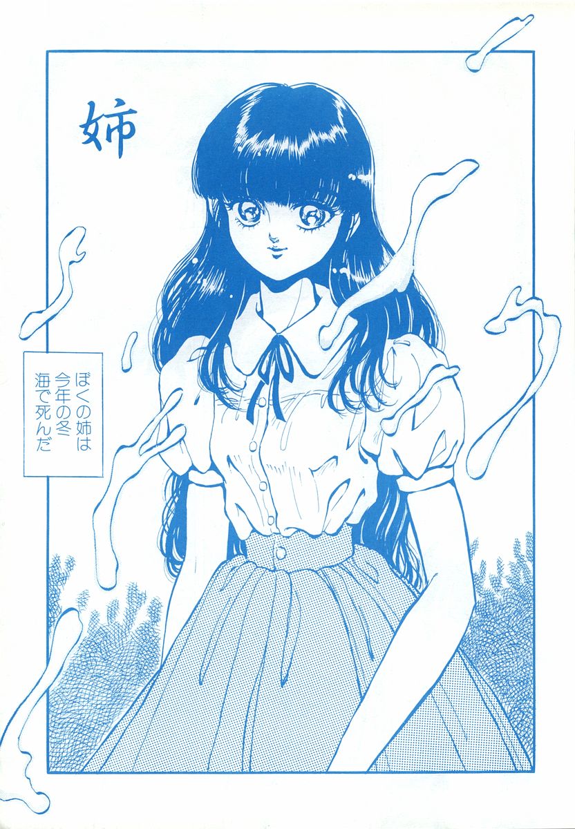 Stera 6 - Page 24