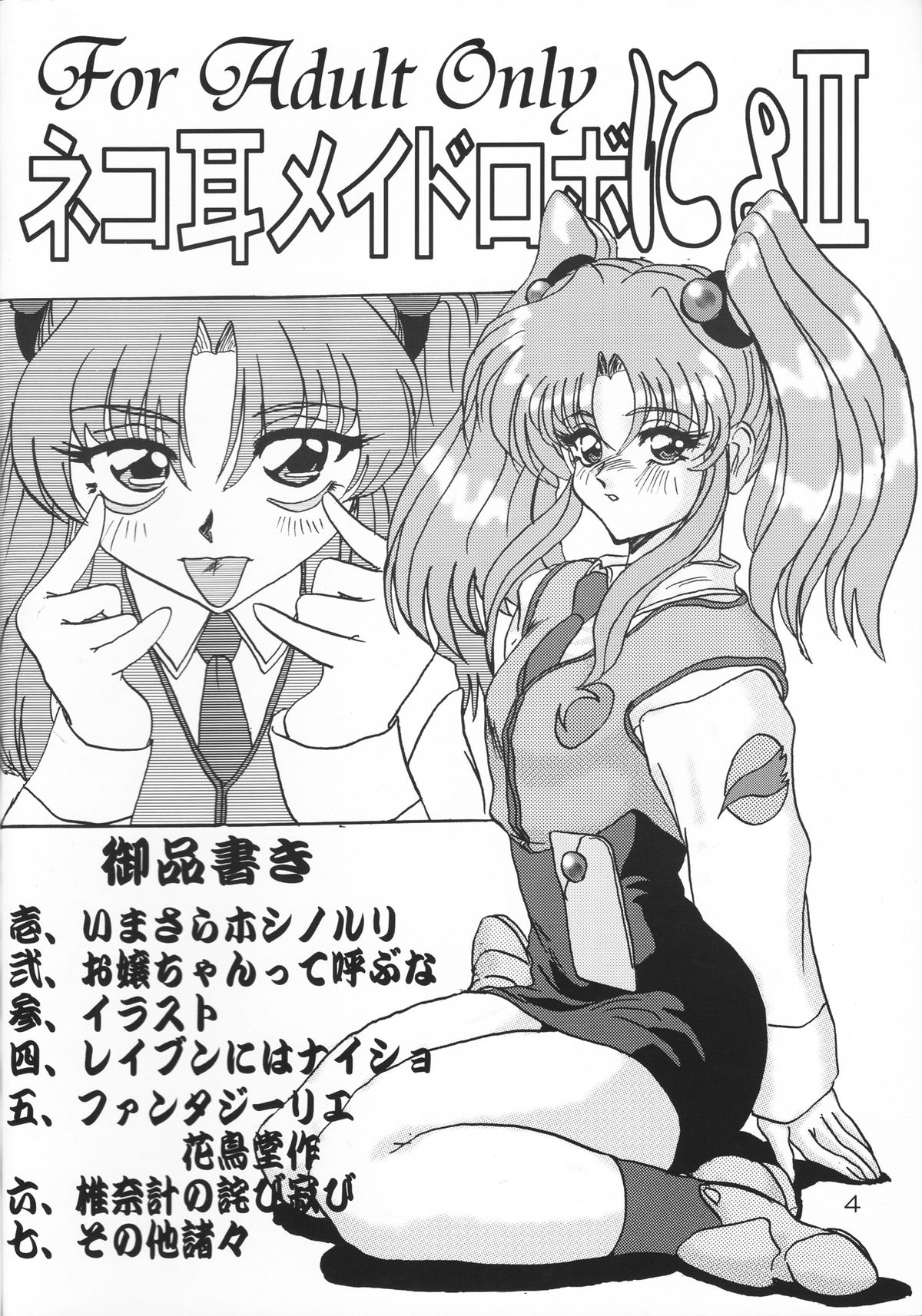 Preview page 3