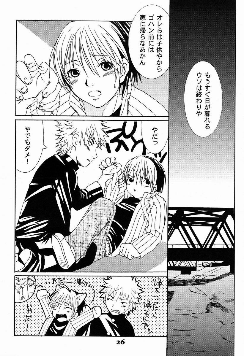 Paruko Nagashima (Chika Sekai) - Turquoise (Hikaru no Go) - Page 25