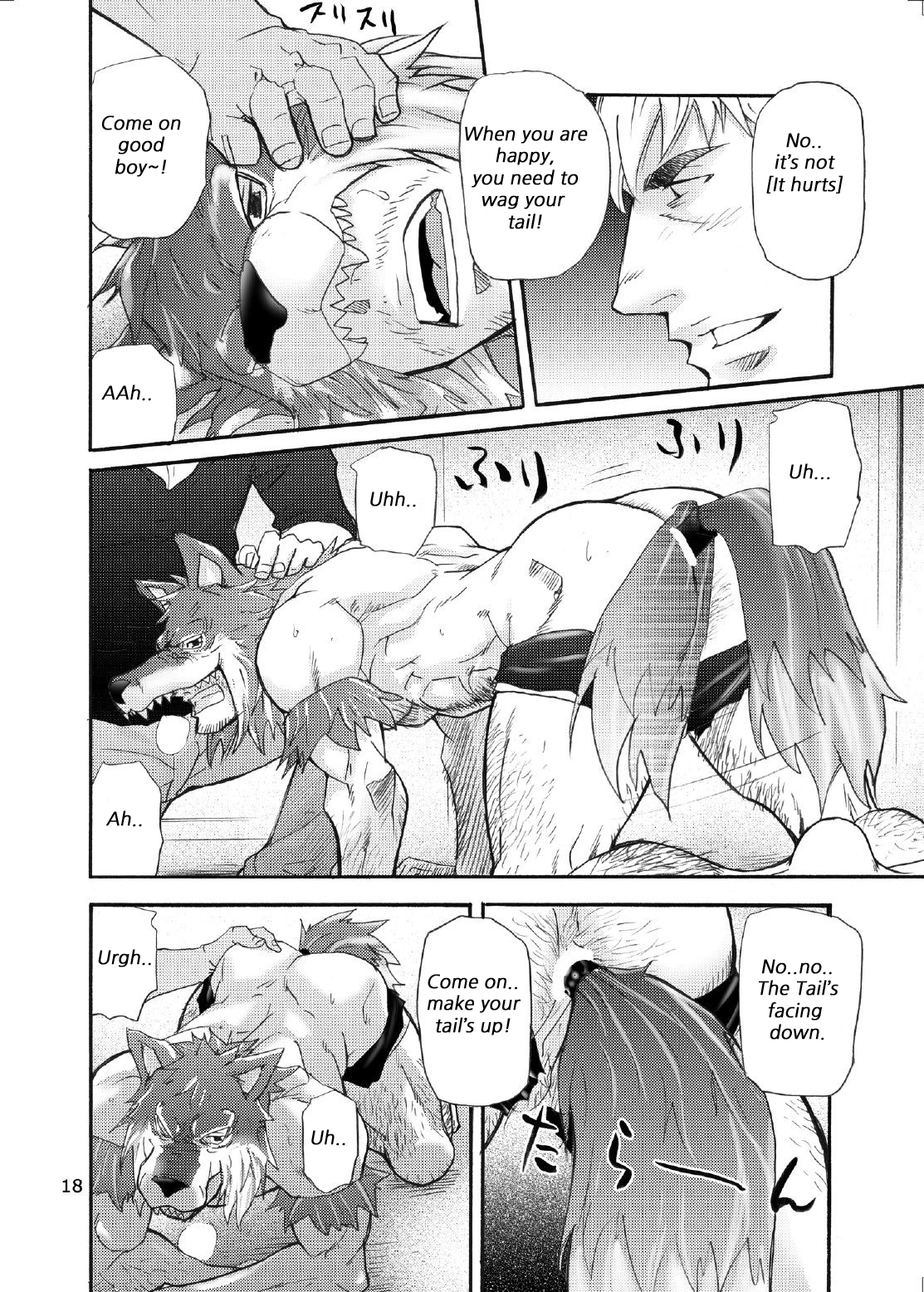 Ookami Kamen to Hito no Iu | Wolf Mask - Page 17