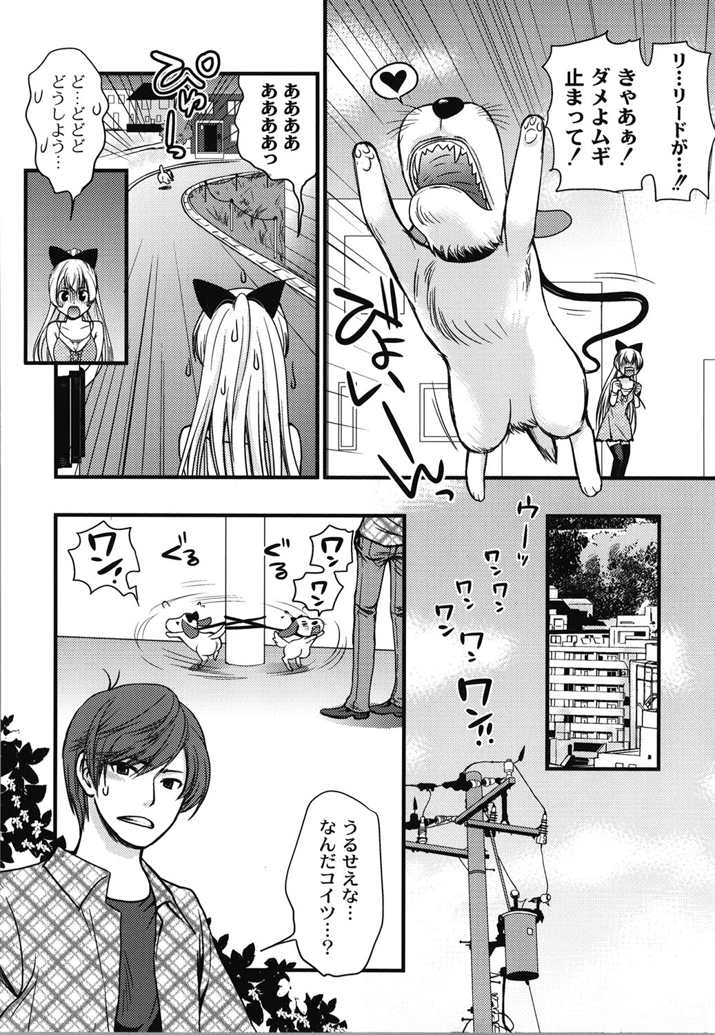 Wancoin - Page 13