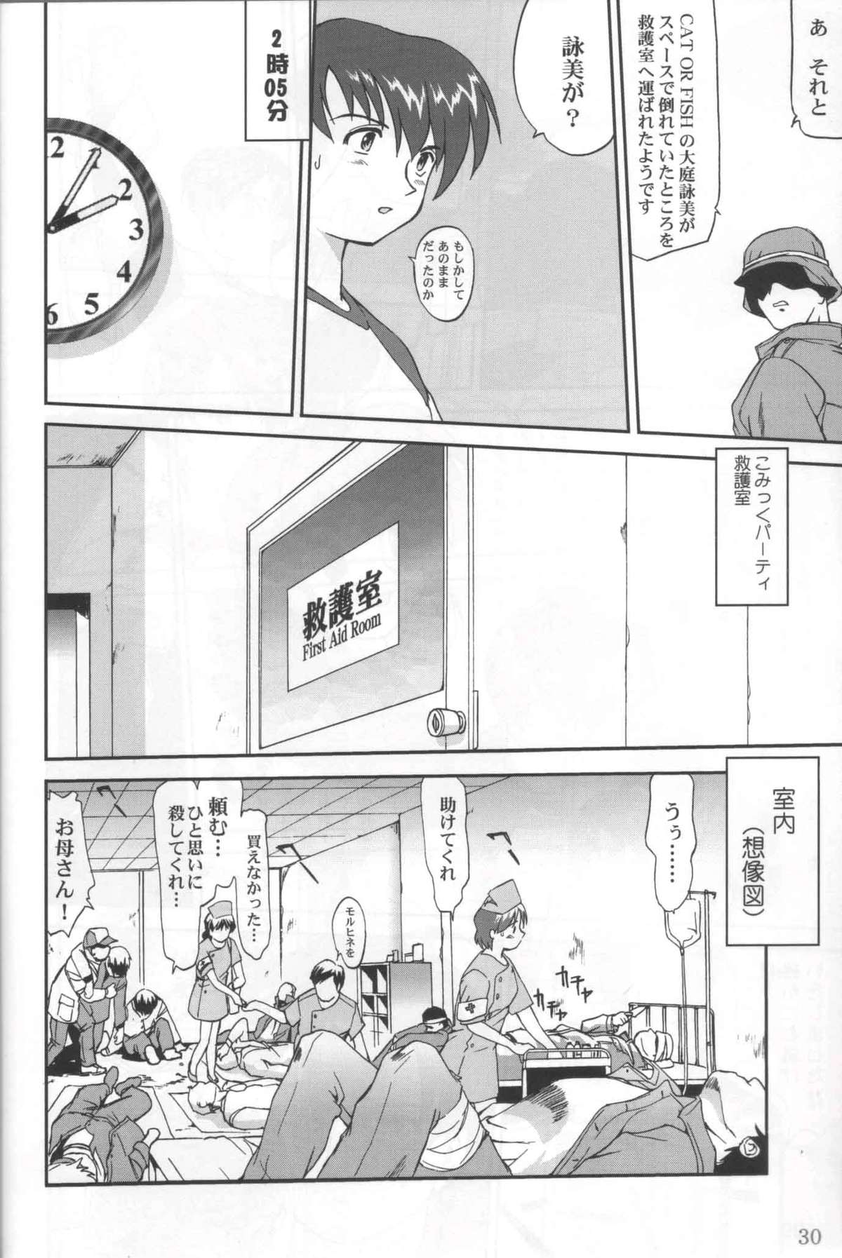 Daidoujin Mizuki 3 - Page 29